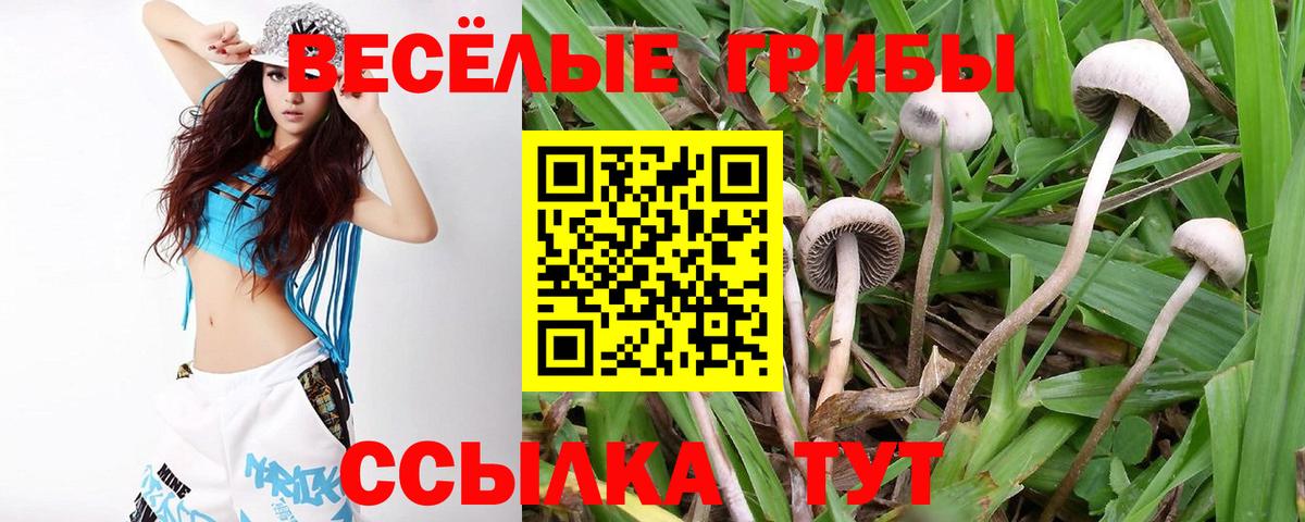 Галлюциногенные грибы мицелий Кинешма