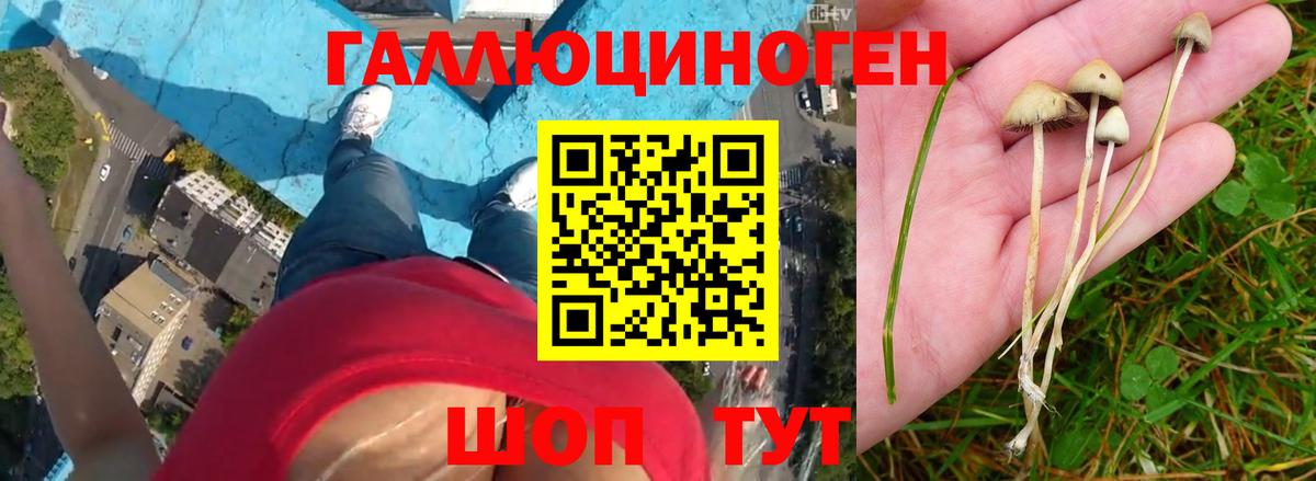 КОКАИН  Марихуана  Вход с VPN  Кинешма  Гашиш  Гашиш  Мефедрон  