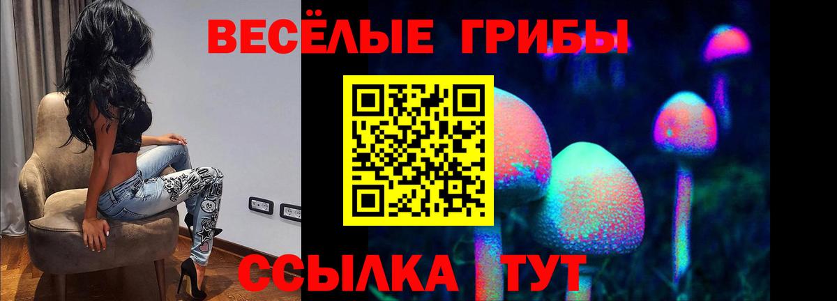 Галлюциногенные грибы мухоморы  Вход с VPN  Кинешма 